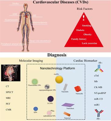 Frontiers | Nanoscale Technologies In Highly Sensitive Diagnosis Of ...